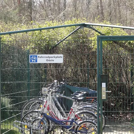 Im Dunenpark *