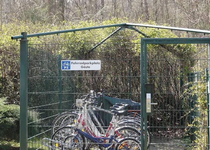 Im Dunenpark *